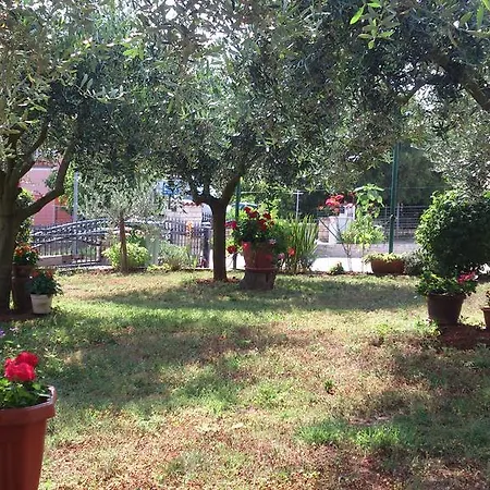 Apartment Mana Umag