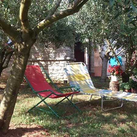 Apartment Mana